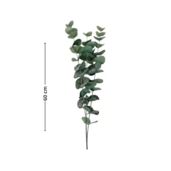 Mr. Plant Eucalyptus 60 cm
