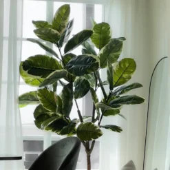 Mr. Plant Fikus Elastica 190 cm