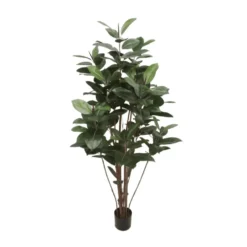 Mr. Plant Fikus Robusta 180 cm