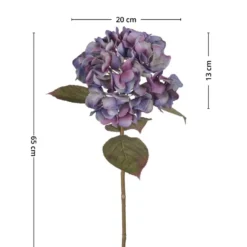 Mr. Plant Hortensia blå/lilla, 65 cm