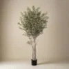 Mr. Plant Oliventre 190 cm