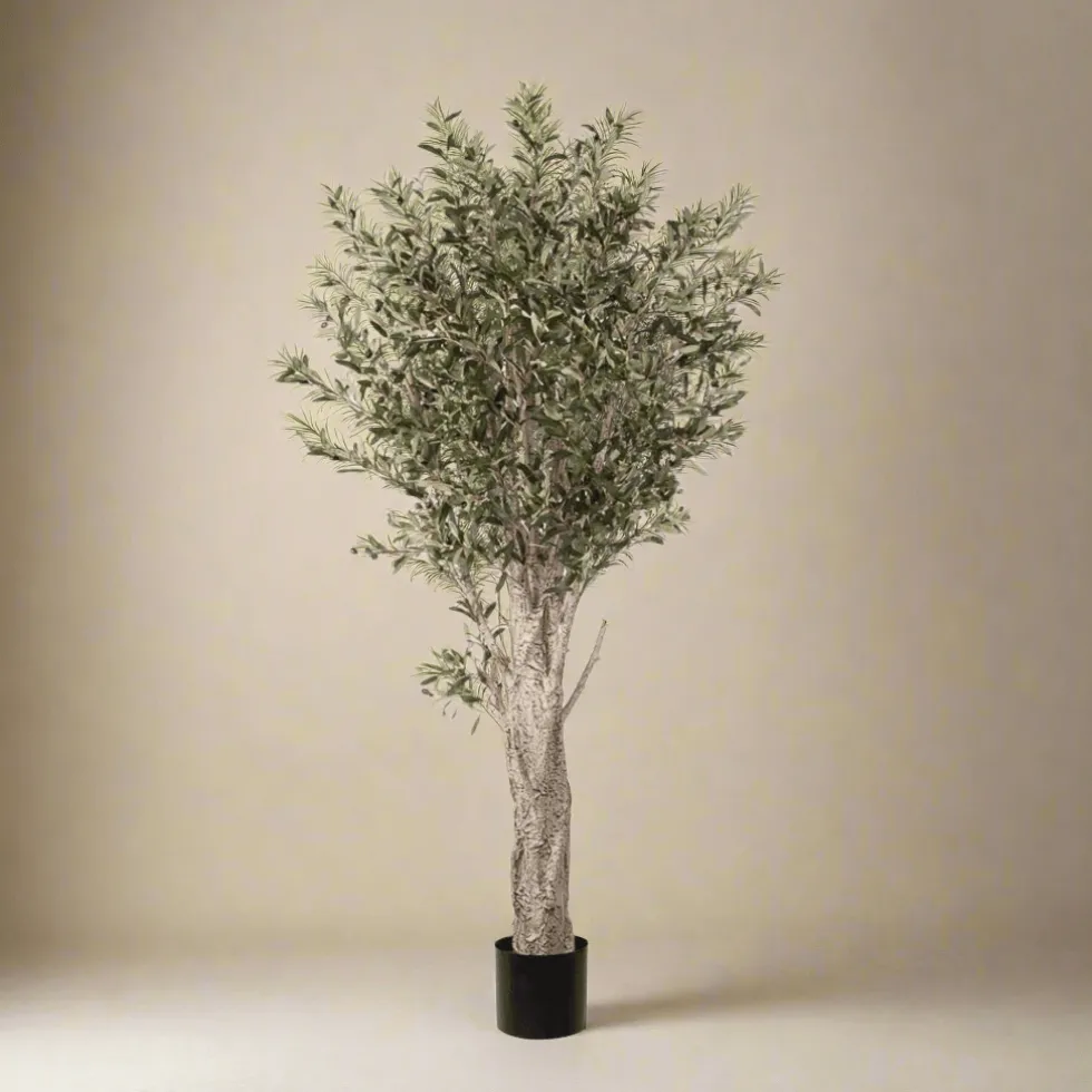 Mr. Plant Oliventre 190 cm