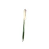 Mr. plant pampasgress 122 cm