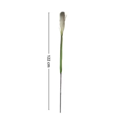 Mr. plant pampasgress 122 cm