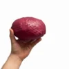 Mr. Plant Rødkål kunstig