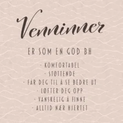 20-pk Servietter BH Venninne, rosa