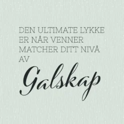20-pk Serviett Ultimate lykke venner galskap